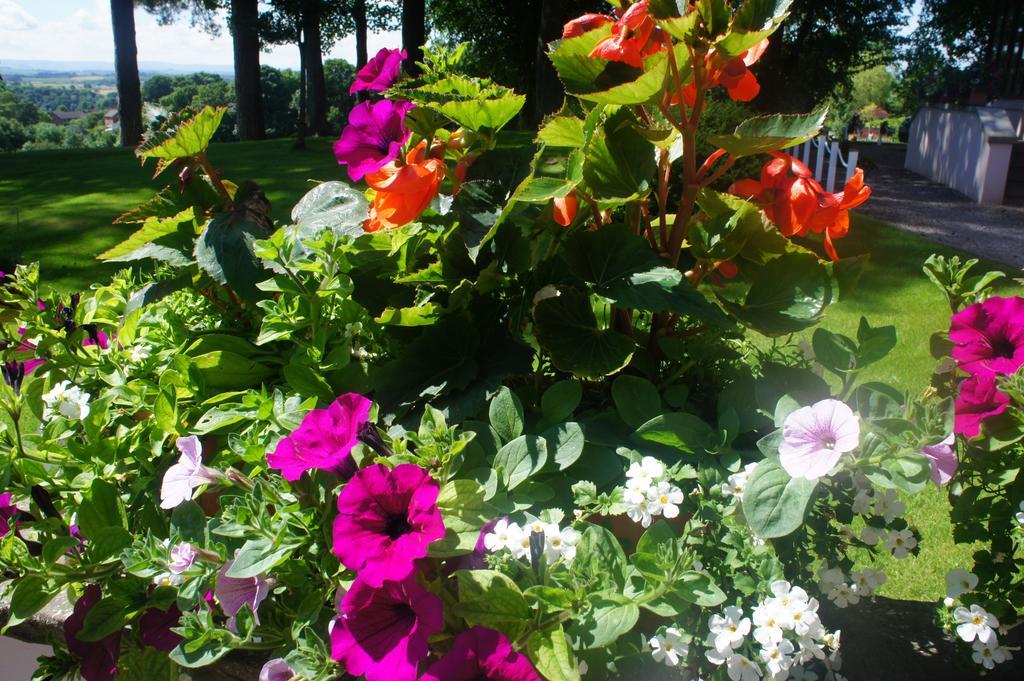 Appleby Manor Hotel&Garden Spa Exterior foto